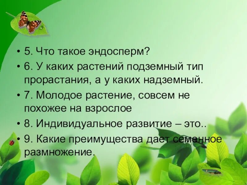 Два братца глядятся. Эндосперм. Эндосперм растений. Два братца глядятся а вместе не сойдутся. Эндосперм это в биологии.