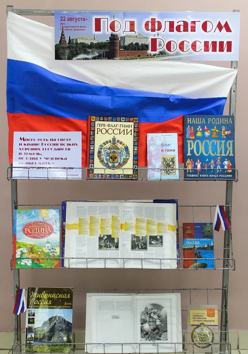 Флажки выставка. Выставка ко дню российского флага в библиотеке. Выставка ко дню российского флага. Выставка ко дню флага в библиотеке. Выставка ко дню российского флага в библиотеке.