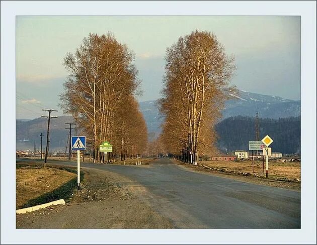 Подслушано в шебалино в контакте республика. Село Шебалино. Шебалино Республика Алтай. Шебалино картинки. Фото село Шебалино 2010.