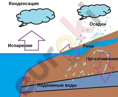 Каждые 4 секунды с поверхности земли испаряется