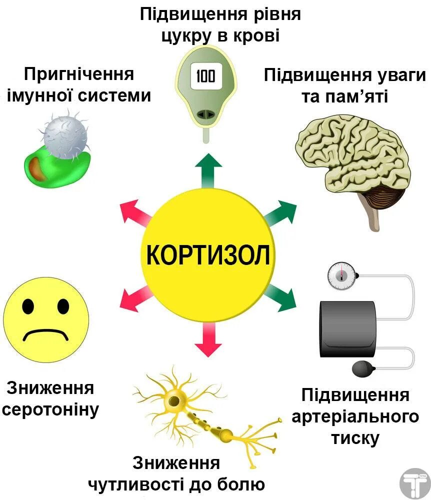 Гормон повышающий стресс