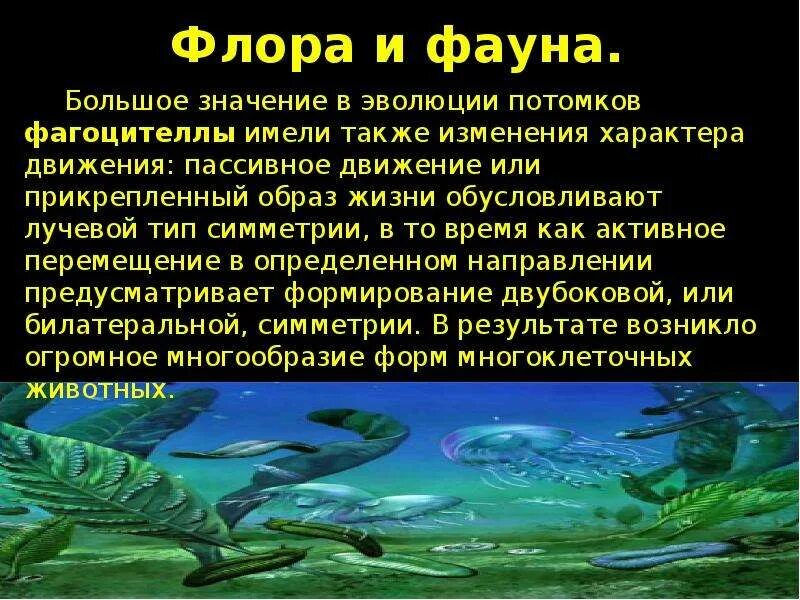 Архейская эра биология 9 класс. Архей Эра биология. Презентация на тему протерозойская Эра. Протерозойская Эра презентация по биологии. Архей фауна.