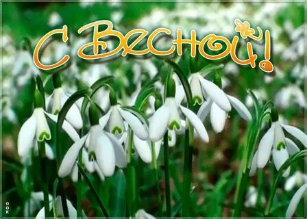 С весной открытки красивые