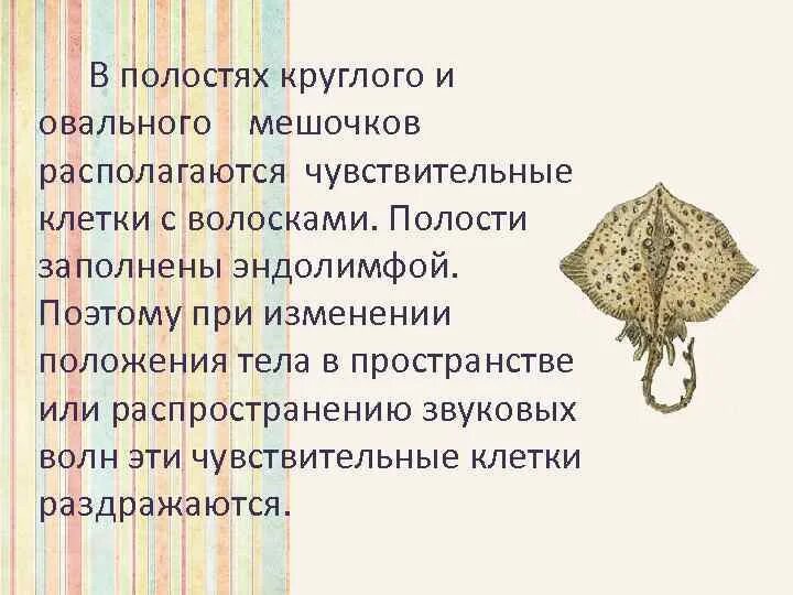 Холщовый мешок. Мешок из ткани. Мешочек из атласа. Овальный мешочек. Мешочки с овальным дном.