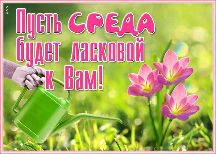 Пожелания с добрым утром среды. Открытки с днём среды. Красивые поздравления со средой. Утро среды. С июньской средой.