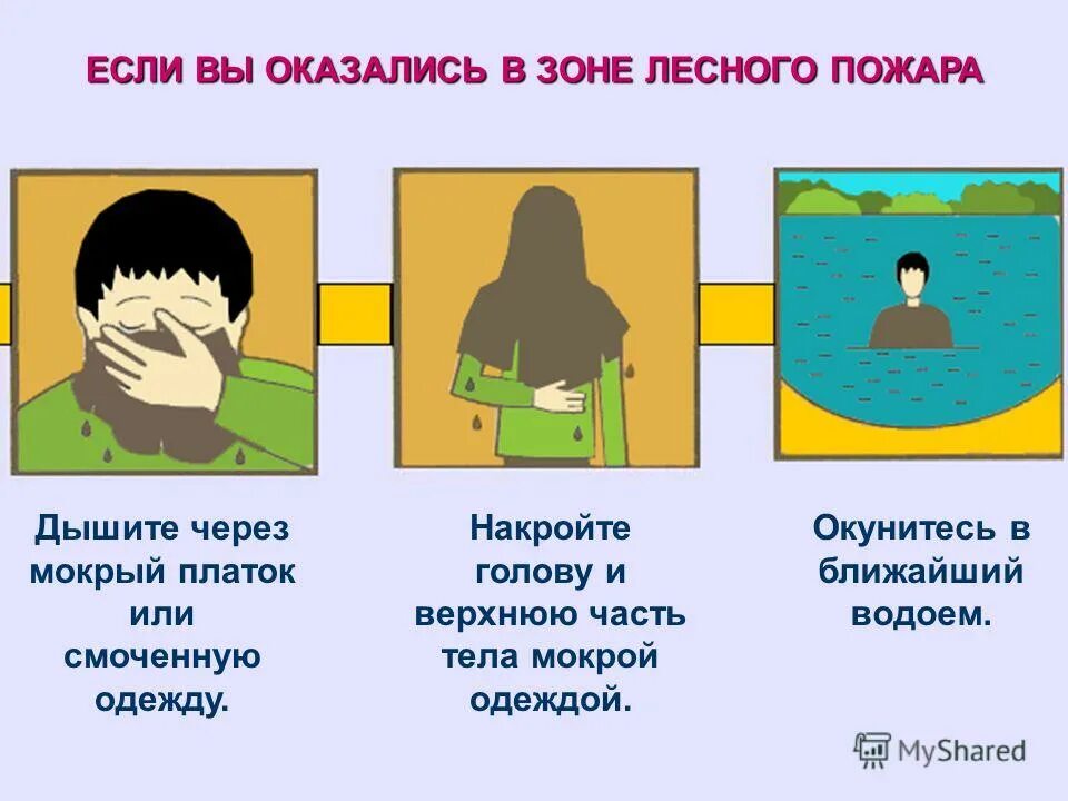 если вы оказались в зоне пожара. лесные пожары правила поведения. вы оказались в зоне лесного пожара. когда нужно покидать зону пожара. порядок действий если в лесу возник пожар.