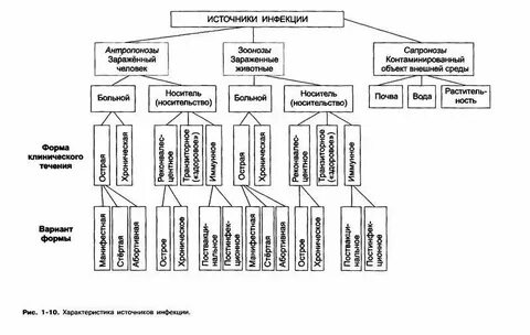 Характеристика источника инфекции