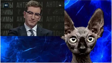 Видео кота костяна