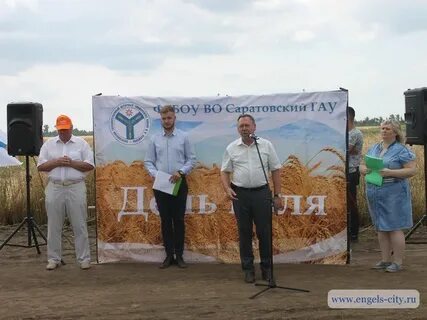 Песня день поля