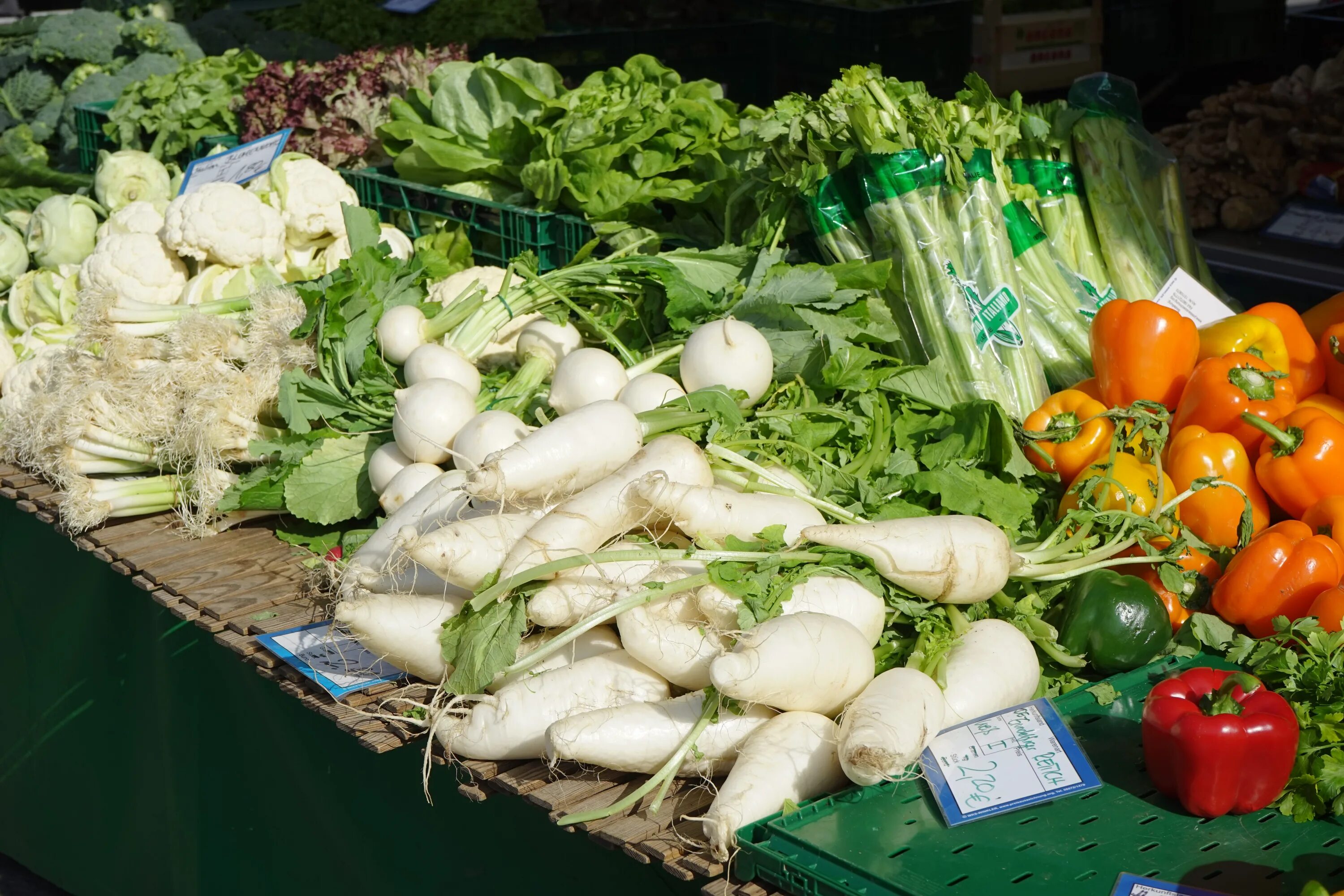 Овощные культуры. Необходимые овощи. Овощные культуры фото. A lot of vegetables