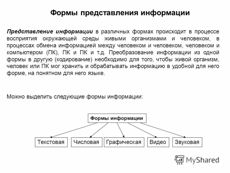 Перечислите виды информации в информатике. Виды представления информации таблица. Виды информации. Типы информации по форме представления. Информация формы представления информации.