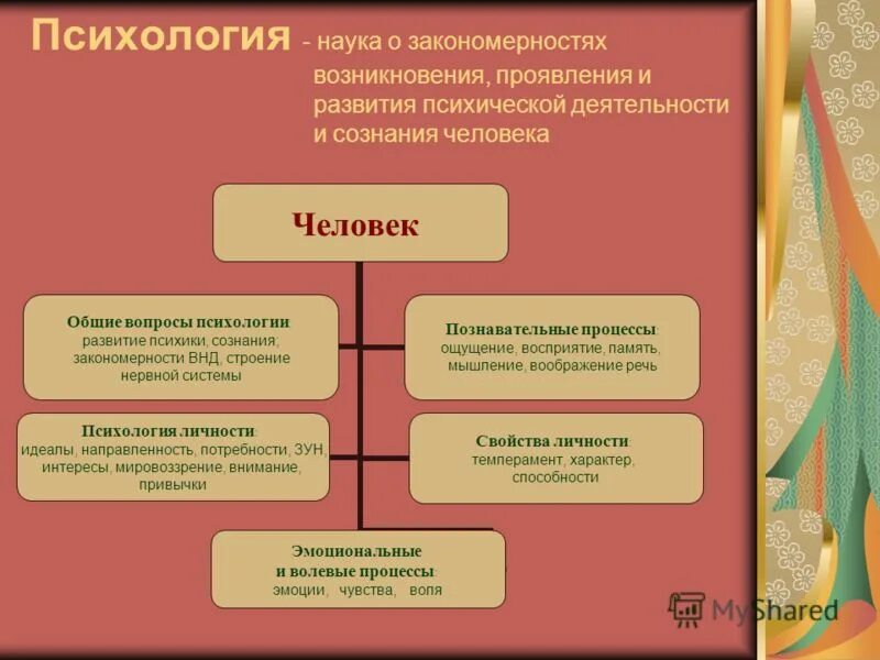 Мышление речь и воображение. Внимание память мышление воображение. Речь и мышление. Воображение в психологии. Особенности внимания, воображения, памяти, мышления. Влияние внимания на память