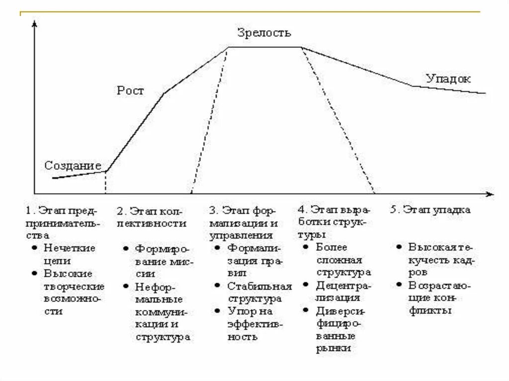 Назовите стадии организации