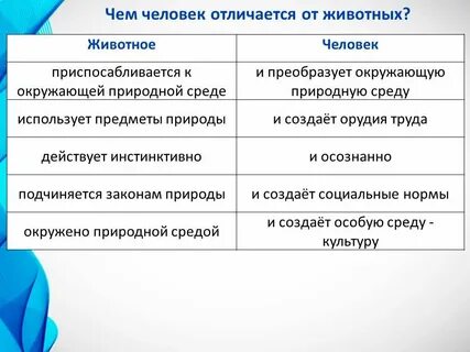 Назовите главные признаки отличающие человека от животных
