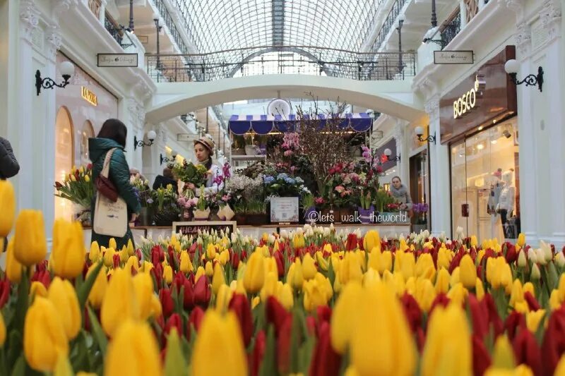 Петровский пассаж москва 2022. Пассаж тюльпаны. Весенние тюльпаны. Пассаж тюльпаны. Петровский пассаж цветочный базар 2023.