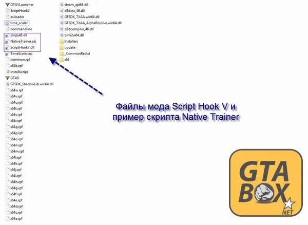 Script hook dot net
