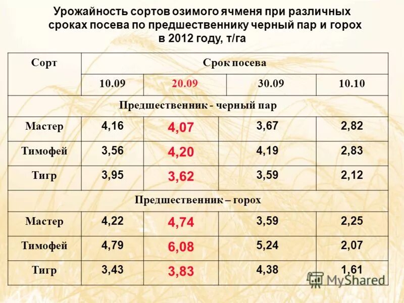 Продуктивность различных экосистем. Первичная продукция и вторичная продукция. Урожайность кукурузы с гектара. Перевести в га. Таблица урожайности овощей.