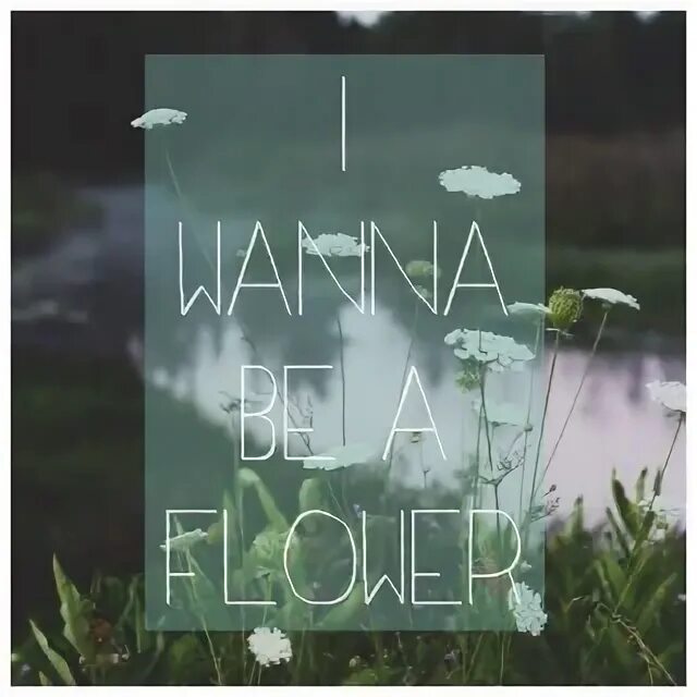 Stay page. Stay page. Stay cool. Stay page. Stay page.