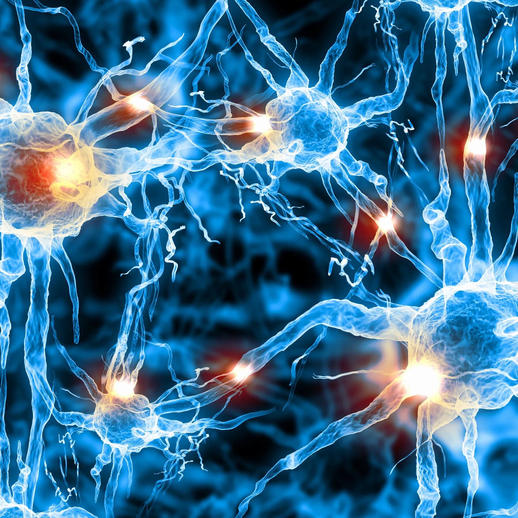Нервные стволовые клетки. Биофизика фото. Биофизика клетки организма. Нейроны на белом фоне.