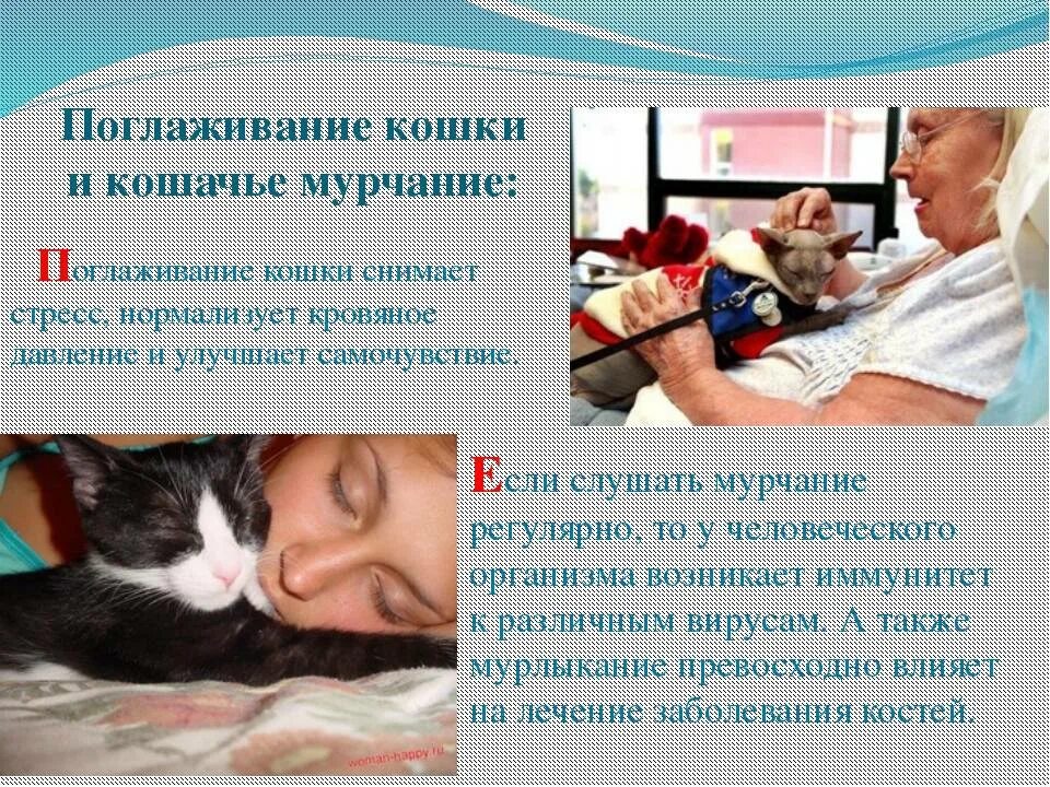 Лечат ли кошки людей