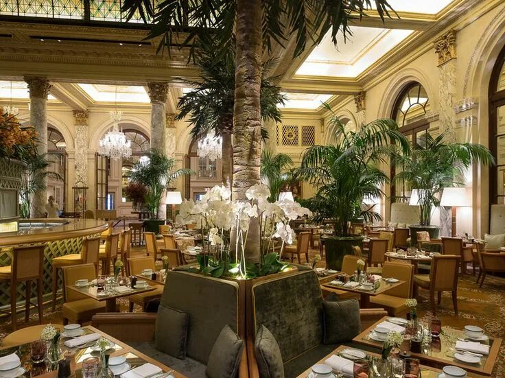 Отель плаза нью-йорк внутри. Плаза нью-йорк. The palm court. Лобби отеля плаза нью йорк рождество. The palm court.