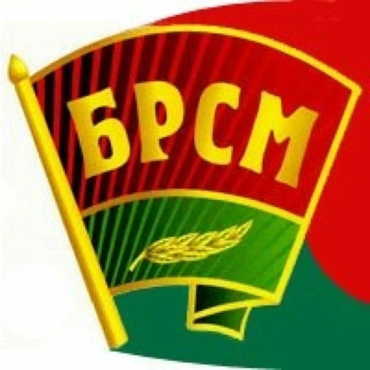 Белорусский республиканский союз. БРСМ. БРСМ лого. БРСМ логотип РБ. Эмблема БРСМ новая.