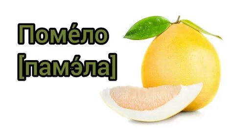 Помело фрукт ударение правильное