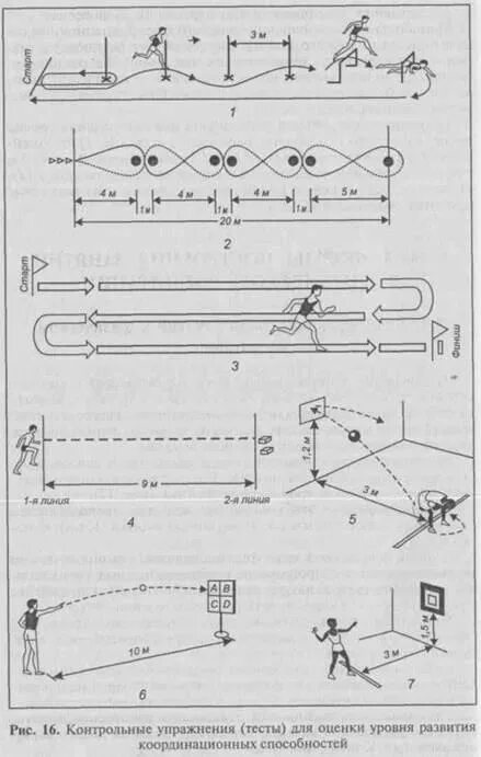 Координационные способности челночный бег. Контрольные упражнения тесты. Координационные способности контрольные упражнения. Контрольные упражнения для оценки гибкости. Контрольные тесты для координационных способностей.