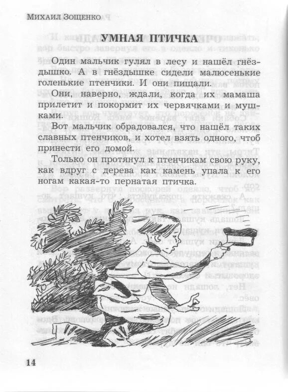 Зощенко м.м. «умная птичка»;. Зощенко умная птичка текст. Зощенко умная птичка иллюстрации. Зощенко читать 5 класс