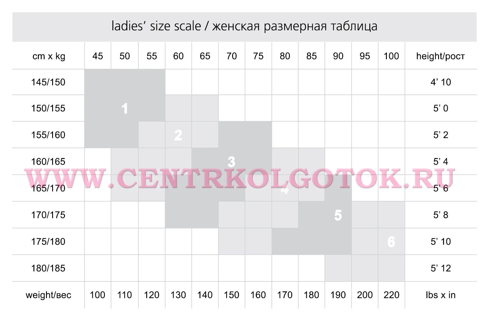 Как подобрать размер колготок