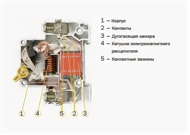 Назначение автоматических устройств. Устройство автоматического выключателя ва47-29 iek автомата. автомат ва47-29 из чего состоит. конструкция автоматического выключателя iek ba47-29. из чего состоит автоматический выключатель.