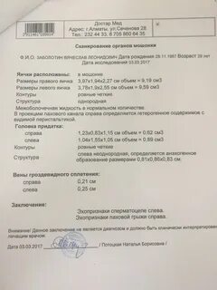 Грыжа узи заключение