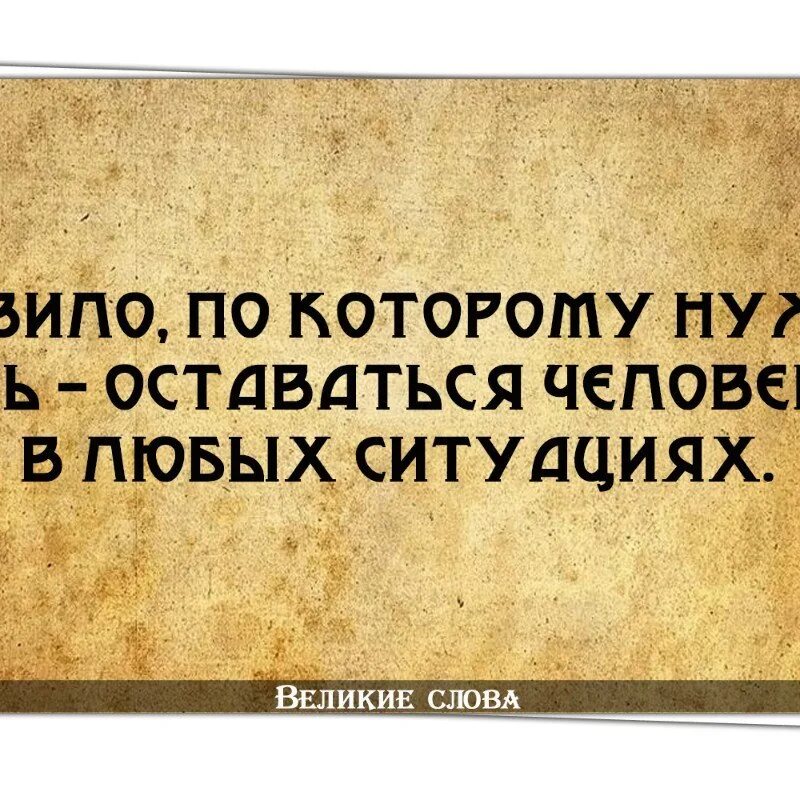 Напрасно высказывания