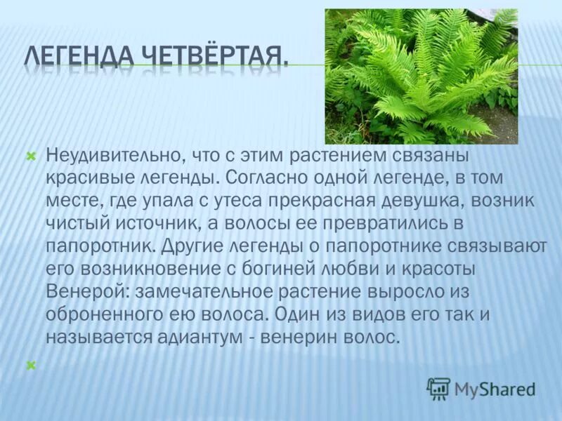 имена связанные с растениями женские. название связанное с растениями. полезные растения для человека. мифы и легенды о папоротнике. имена связанные с растениями.