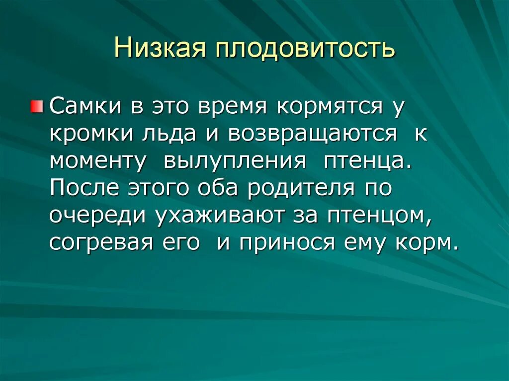 Относительно невысокую