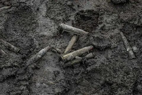 Видео расстреляли в окопе