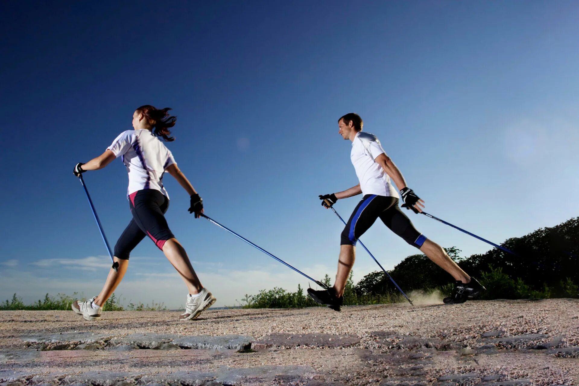палки для сканд ходьбы 3х секционные. палки nordic walking. палки для скандинавской ходьбы merrell trekking. ямагучи палки для ходьбы. Konne sport палки для скандинавской ходьбы.