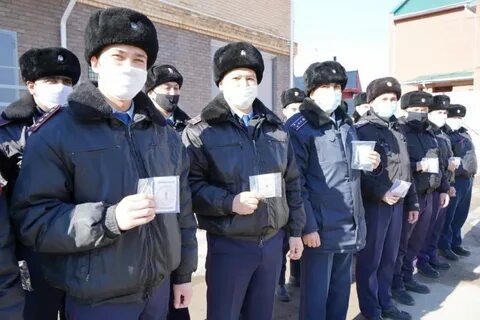 Передан полиции
