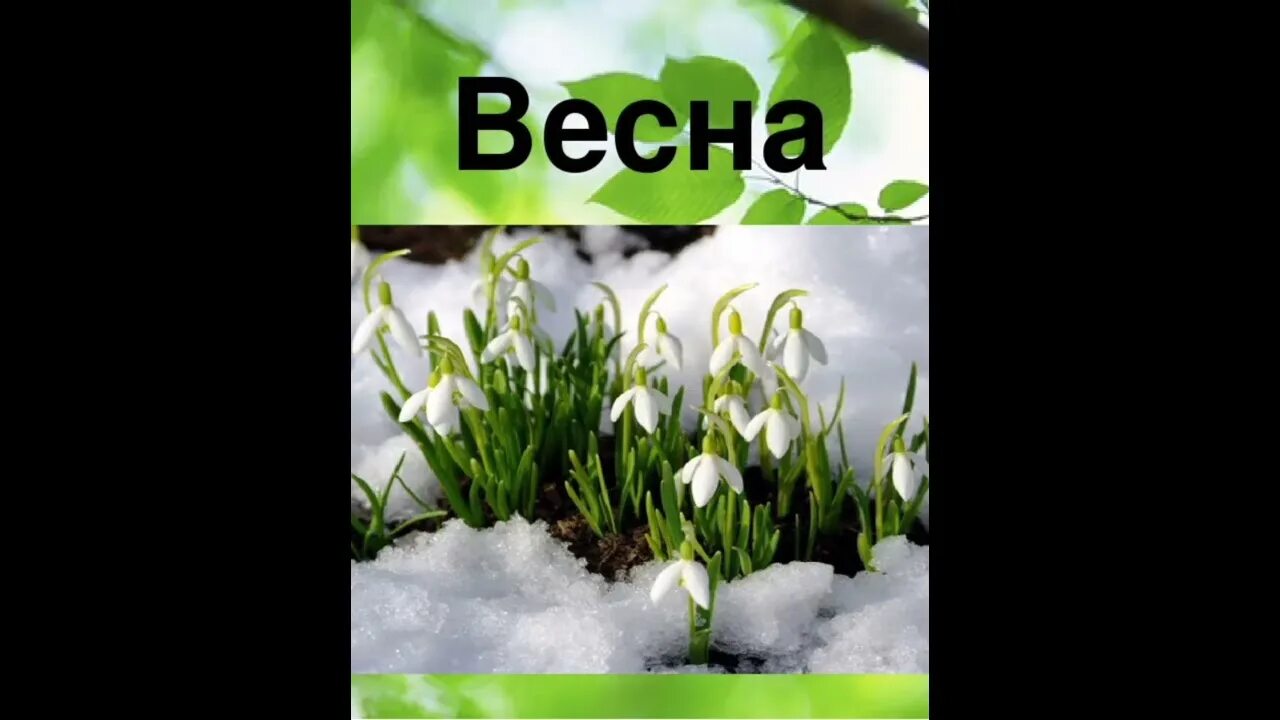 Травка зеленеет солнышко мальчик учит видео. Весенняя травка зеленеет солнышко. Стишок про весну для детей травка. Травка зеленеет солнышко блестит Ласточка с весною. Стихотворение о весне травка зеленеет солнышко блестит.