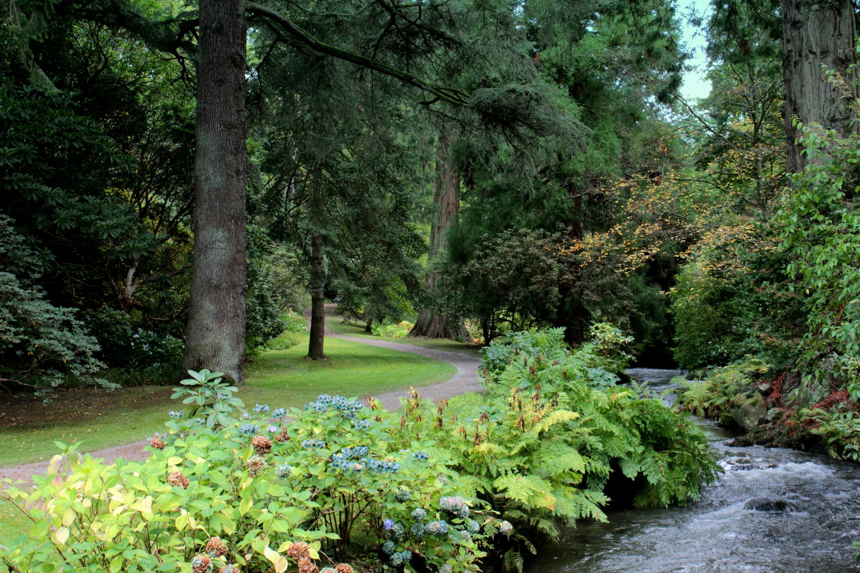 Uk parks. Великобритания Bodnant сады Уэльс. Река парк Англия. Леса Уэльса. Кустарник на речке.