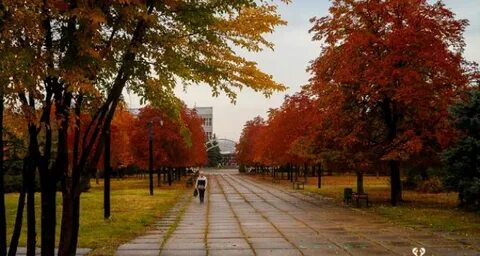 Погода в луганске на ноябрь