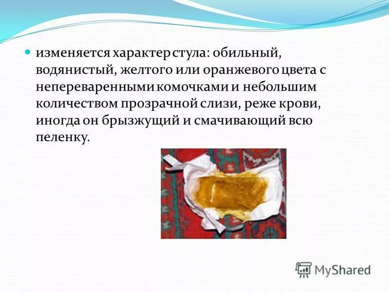 План обследования при шигеллезе. Стул при бактериальной дизентерии. Какой стул при дизентерии. Дизентерия кратко о болезни. Дизентерия возбудитель болезни.