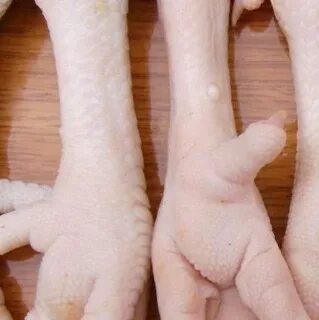 Chicken foot
