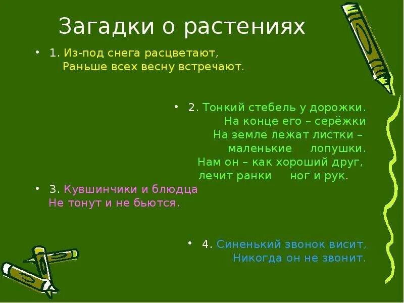 Загадки про растения. Загадки про растения с ответами. Загадка о стебле. Загадка про стебель. Головоломка растение