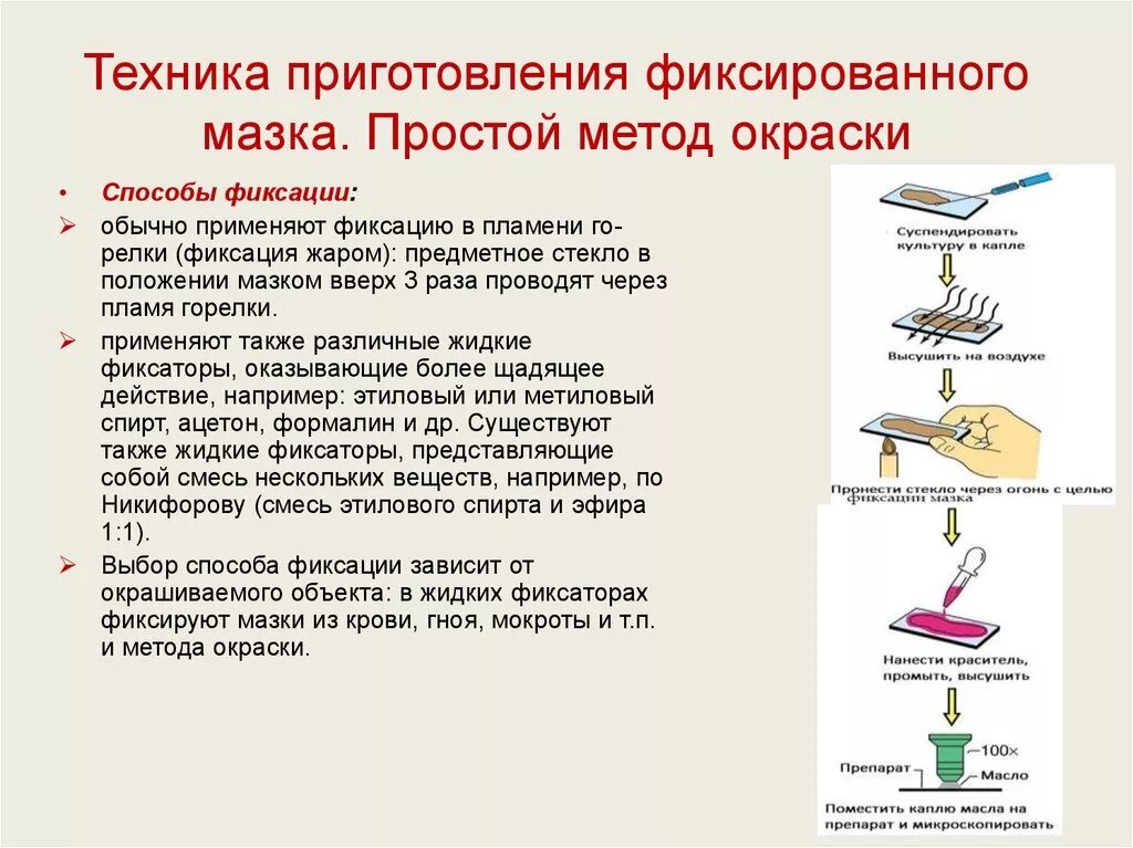 Самых простых способов является. Методика приготовления фиксированных препаратов мазков. Техника приготовления фиксированного мазка микробиология. Правильная последовательность приготовления мазков-препаратов. Методы приготовления мазков для микроскопии микробиология.