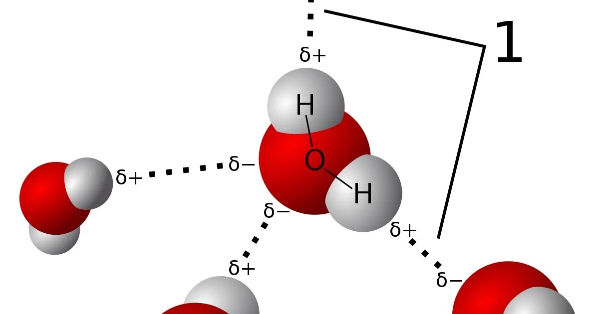 Водородная связь между молекулами воды схема. Водородная связь в воде схема. Водородная связь в молекуле воды схема. Схема образования водородной связи между молекулами воды.