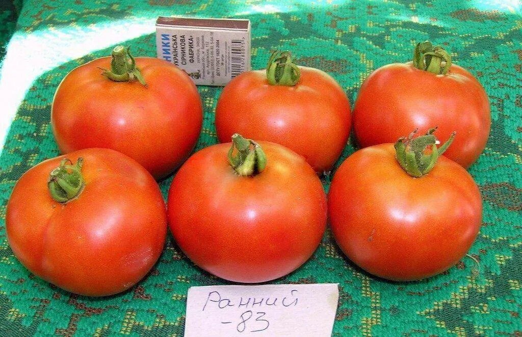 Томаты сорт ранний 83 отзывы. Томат ранний 83. томат раннеспелый 83. семена томата ранний 83. ранний 83 томат описание.