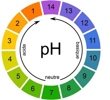 Ph less