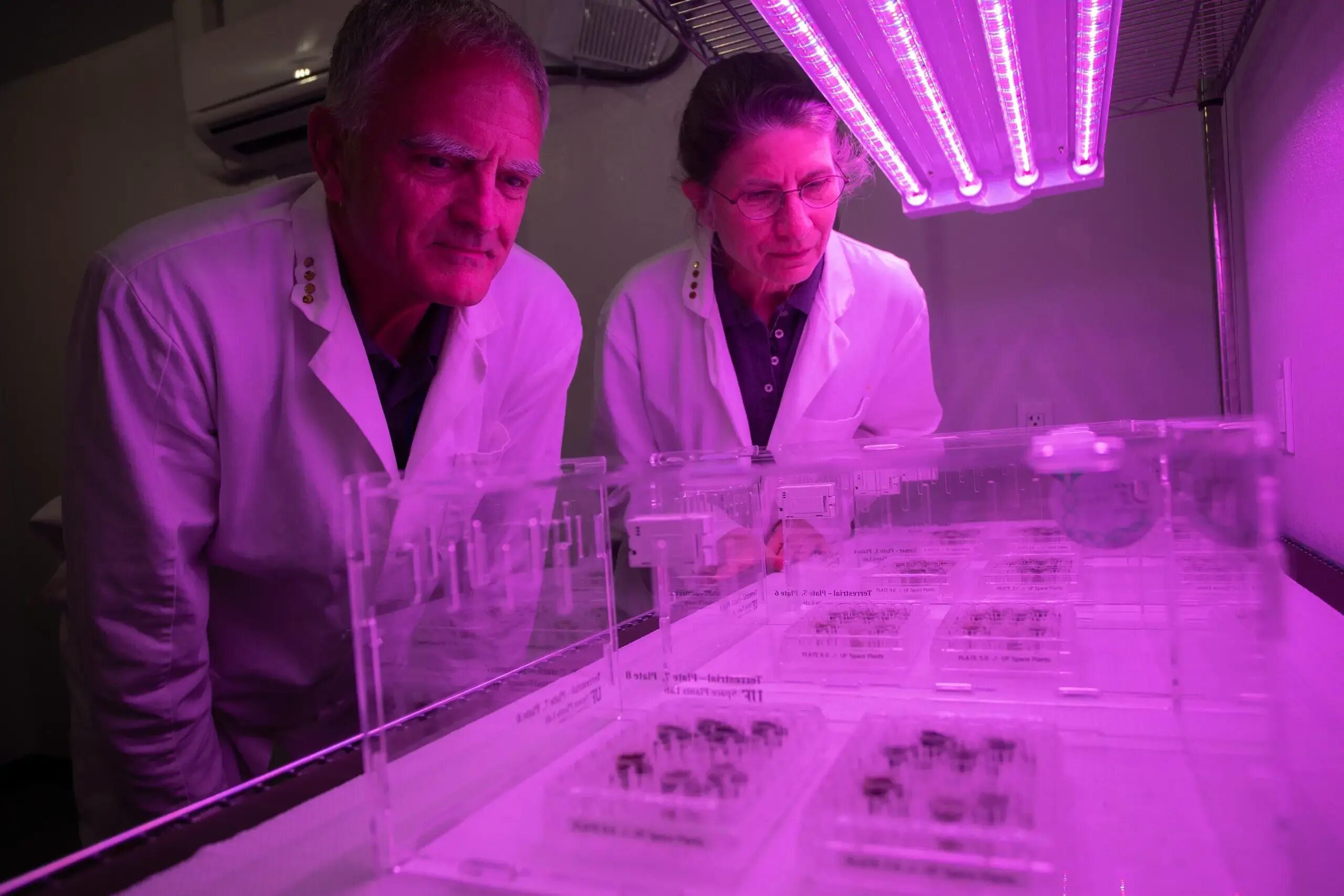 Growing science. Ученые вырастили растения в лунном грунте. Ученые с растениями. Ученые НАСА. Роба ученого.