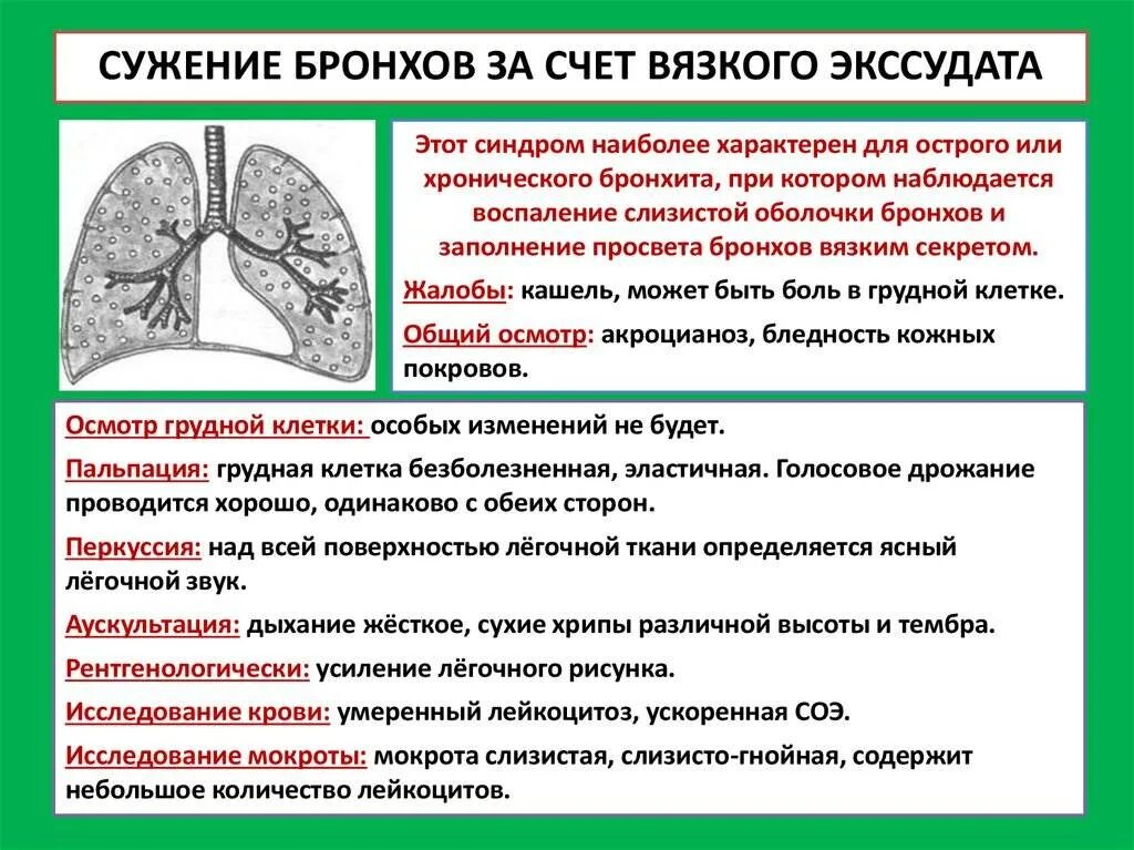 Можно ли пить при мокроте